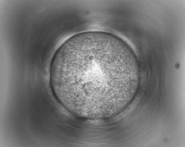 X0000103161415200809192043