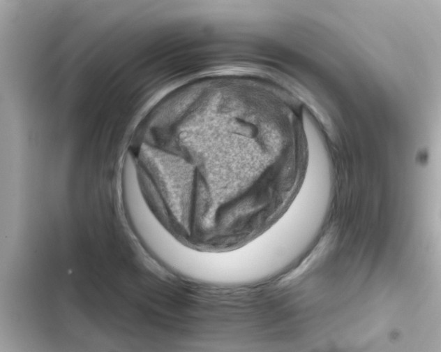 X0000103161417200809192043