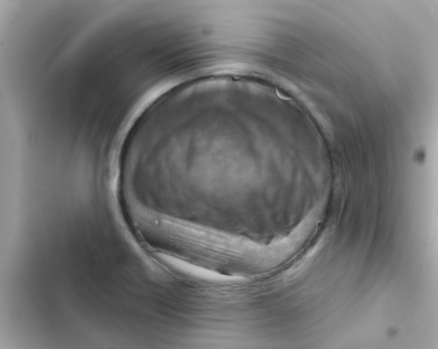 X0000103161418200809192043