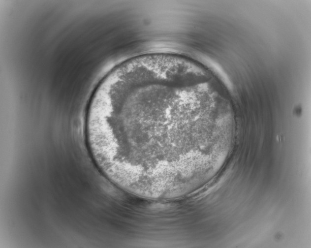 X0000103161419200809192043