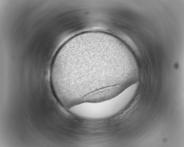 X0000103161420200809192043