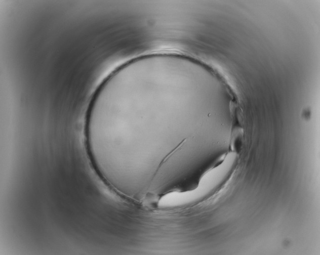 X0000103161422200809192043