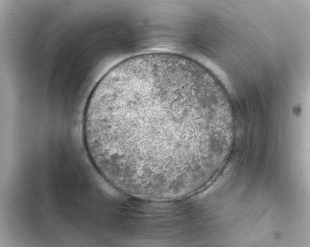 X0000103161423200809192043