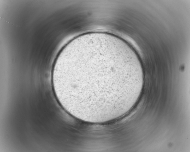 X0000103161424200809192043
