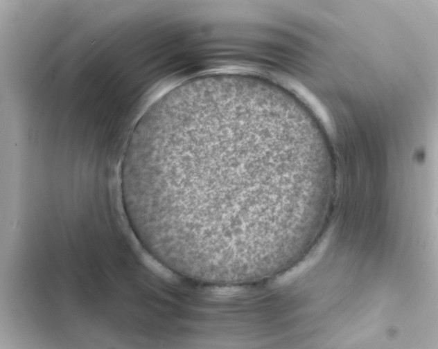 X0000103161425200809192043