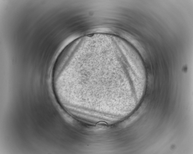 X0000103161426200809192043