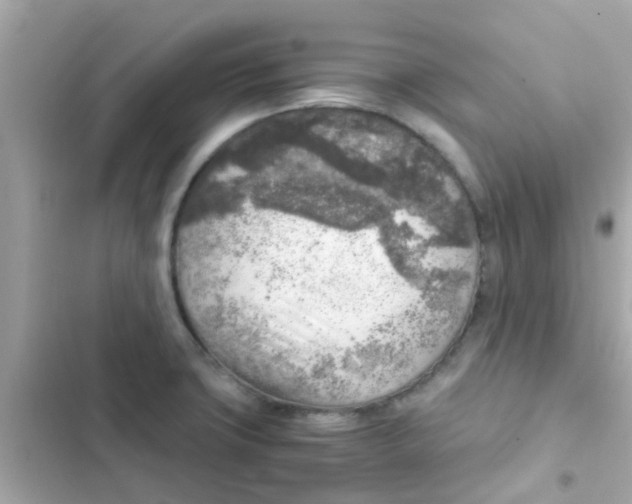 X0000103161427200809192043