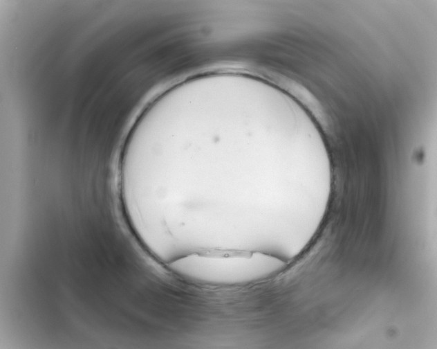 X0000103161428200809192043
