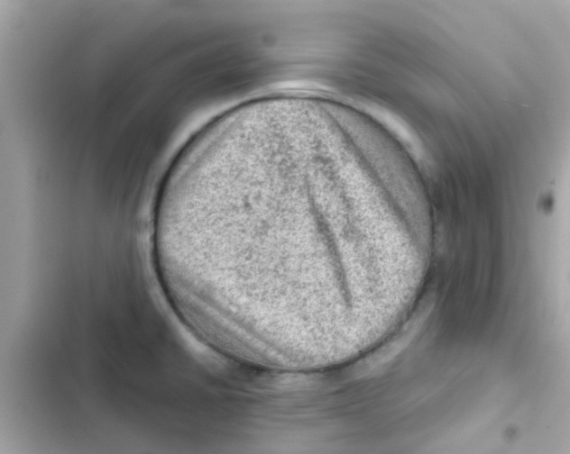 X0000103161430200809192043