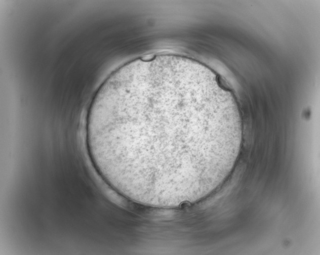 X0000103161431200809192043