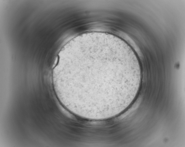 X0000103161433200809192043