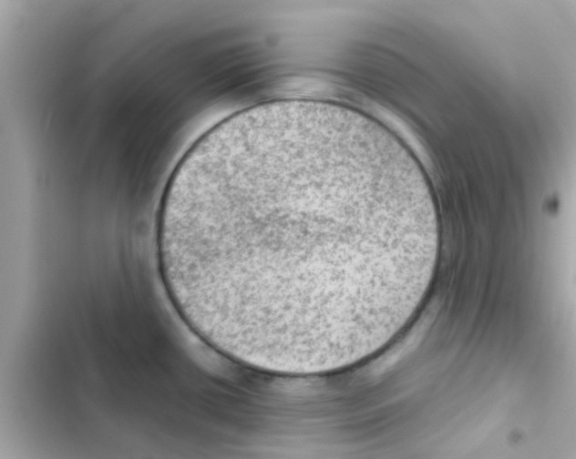 X0000103161434200809192043