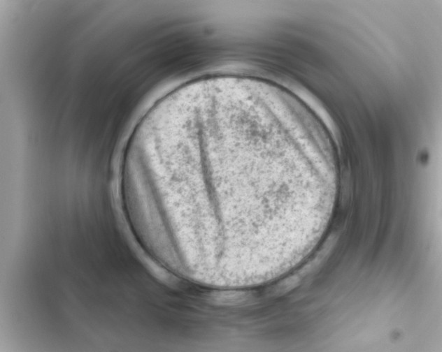 X0000103161437200809192043