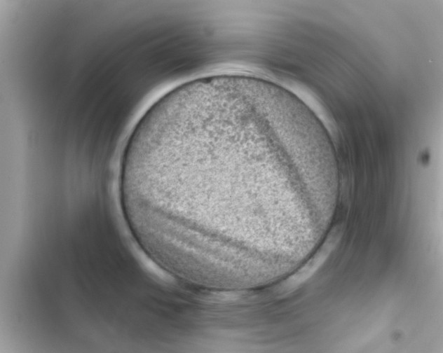 X0000103161438200809192043