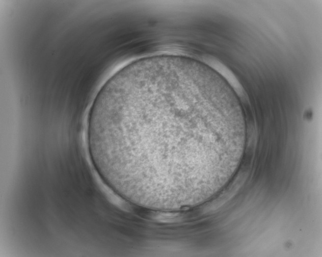 X0000103161439200809192043