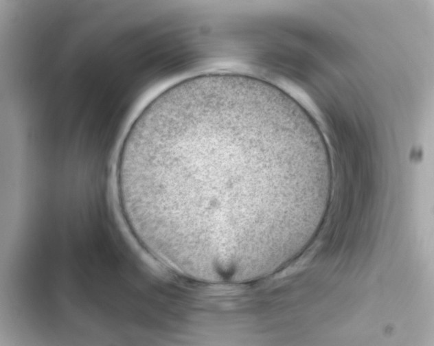 X0000103161440200809192043