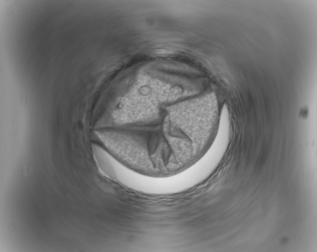 X0000103161441200809192042