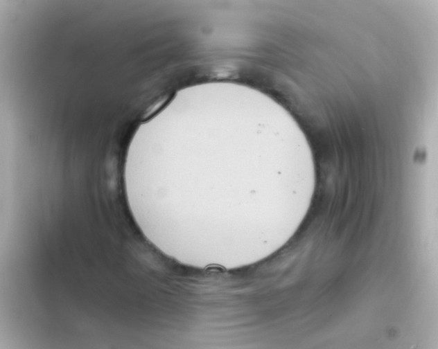 X0000103161442200809192042