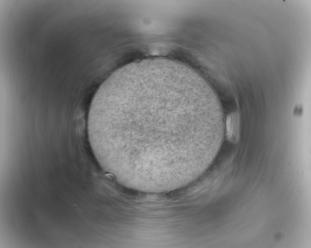 X0000103161443200809192042