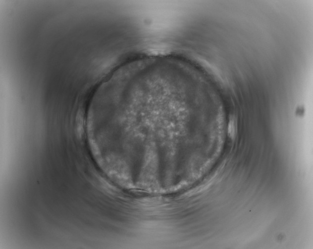 X0000103161444200809192042