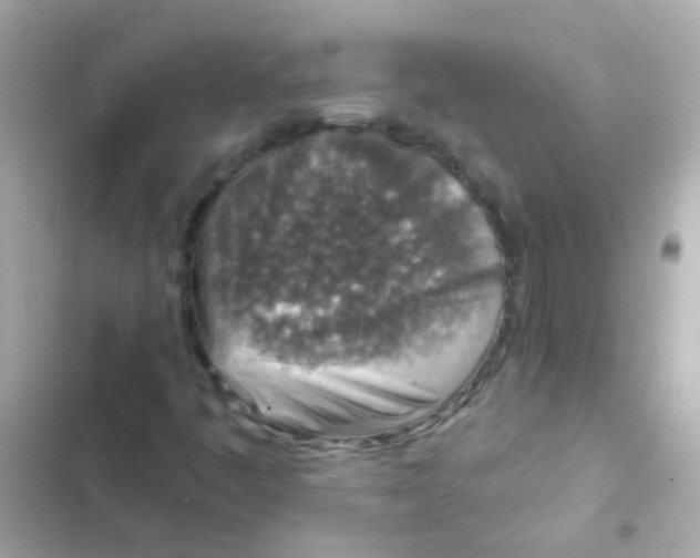 X0000103161445200809192042