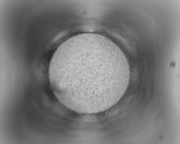 X0000103161446200809192042