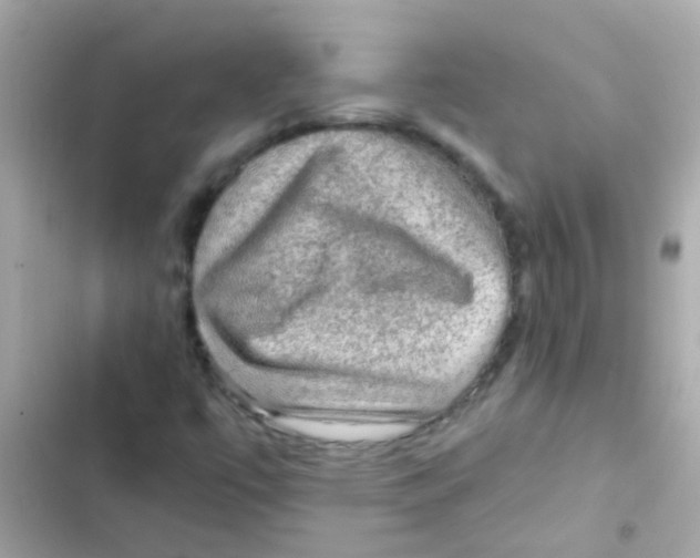 X0000103161447200809192042