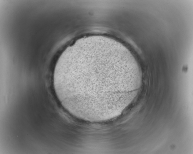 X0000103161448200809192042