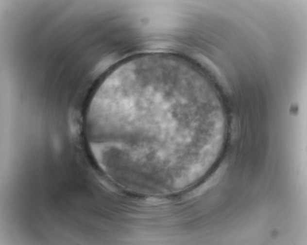 X0000103161449200809192042