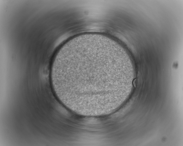 X0000103161450200809192042