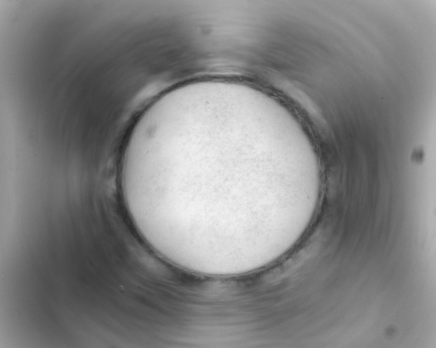 X0000103161451200809192042