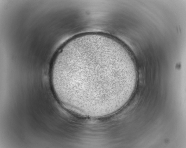 X0000103161452200809192042