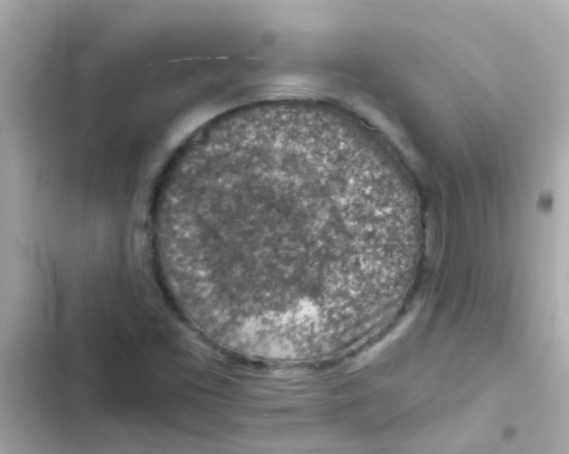 X0000103161453200809192042
