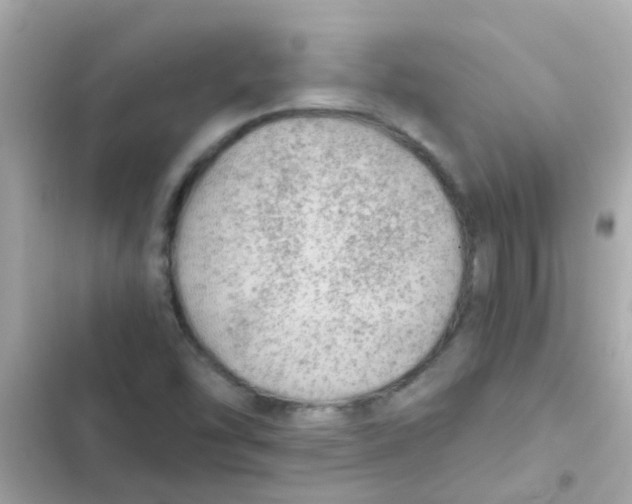 X0000103161454200809192042