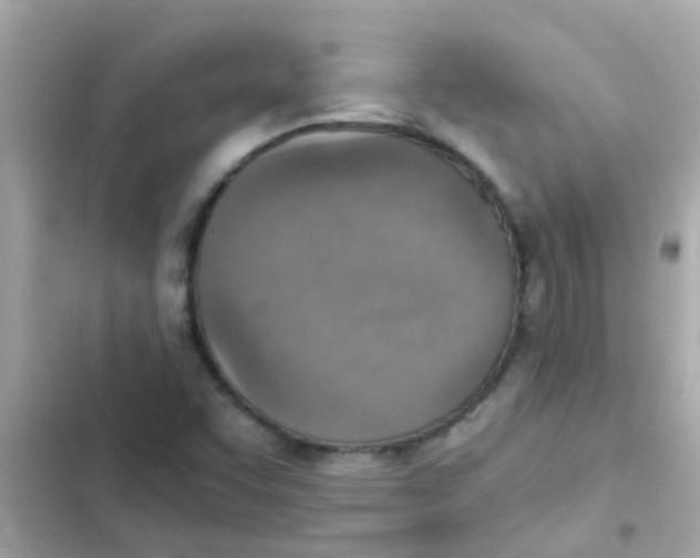 X0000103161455200809192042