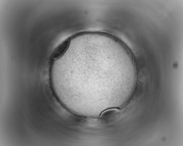 X0000103161456200809192042