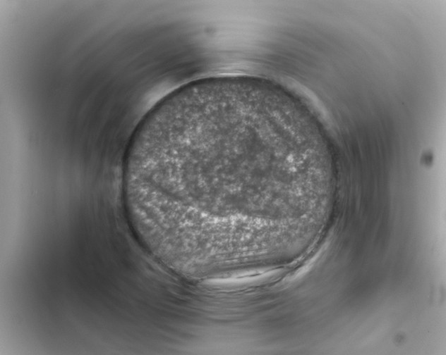 X0000103161457200809192042