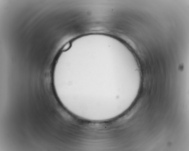 X0000103161458200809192042