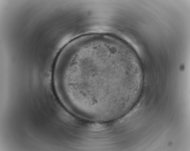 X0000103161459200809192042