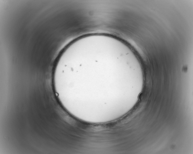 X0000103161460200809192042