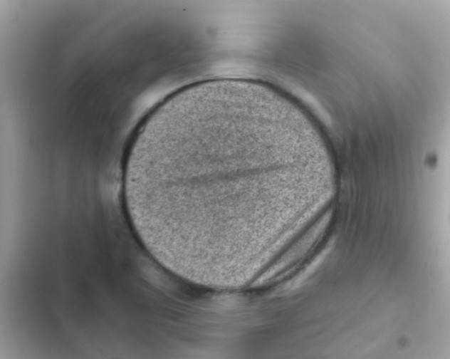 X0000103161461200809192042