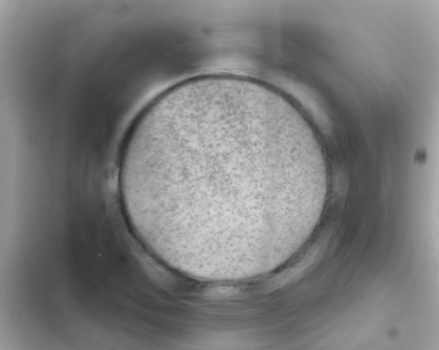 X0000103161462200809192042