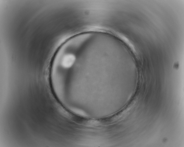 X0000103161463200809192042