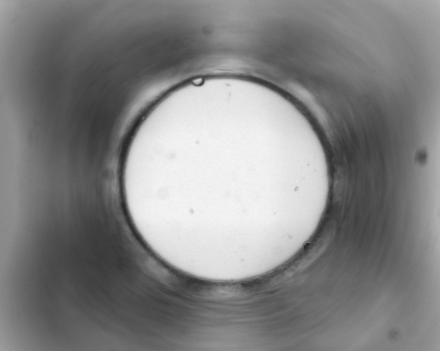 X0000103161464200809192042