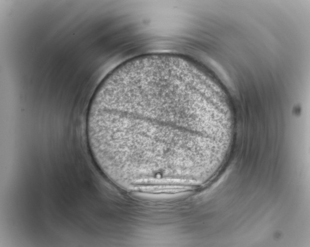 X0000103161465200809192042