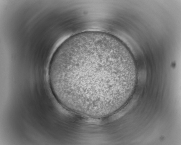 X0000103161466200809192042