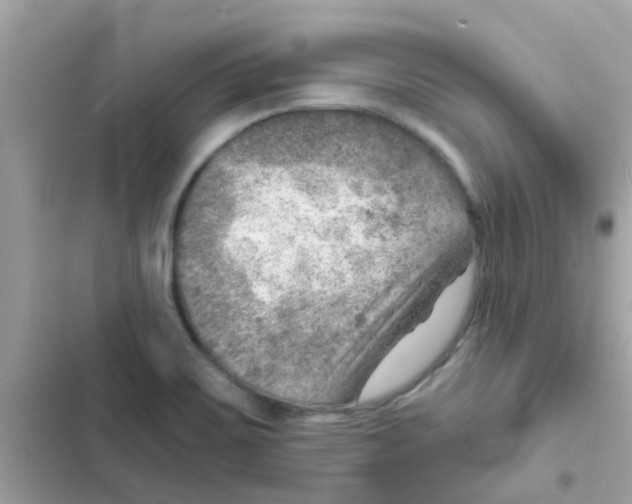 X0000103161467200809192042