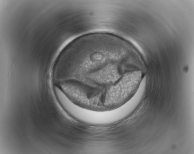 X0000103161468200809192042