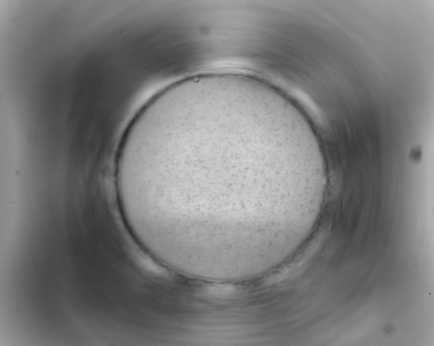 X0000103161470200809192042