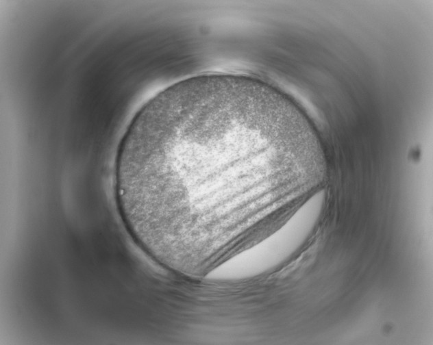 X0000103161471200809192042